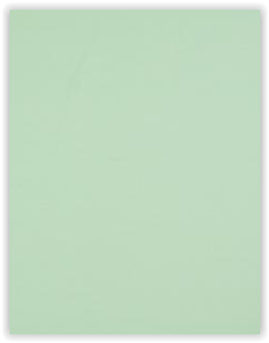 Jersey mint