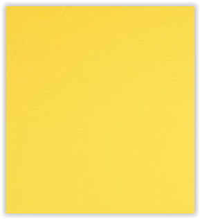 Jersey gelb