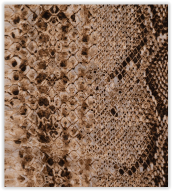 Viscose