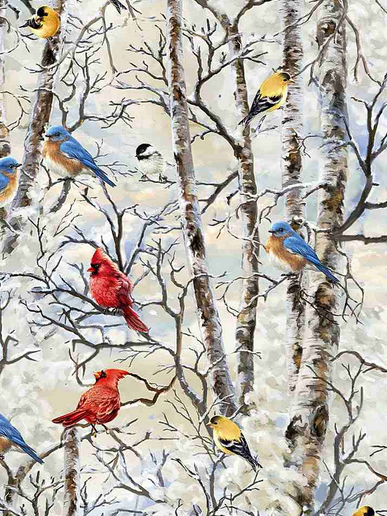 WINTER BIRDS
